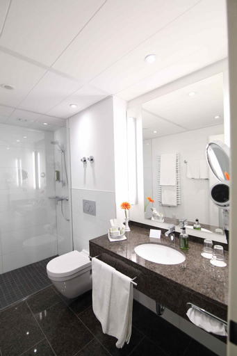 TOP CityLine Parkhotel Wittekindshof Dortmund, Dortmund