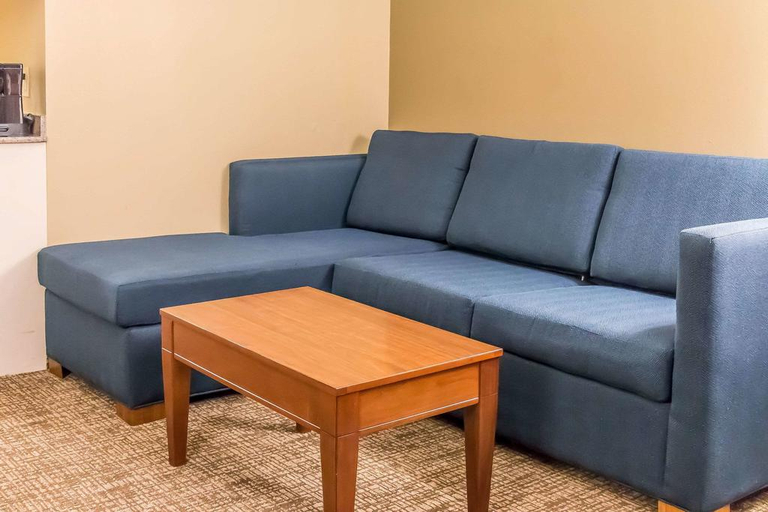 Public Area 2, Comfort Suites Savannah North I-95, Chatham