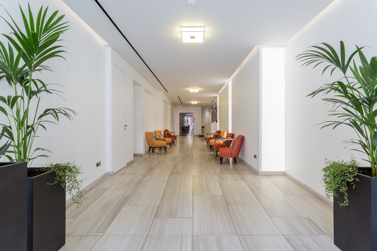 Public Area 3, Hotel de Castiglione, Paris
