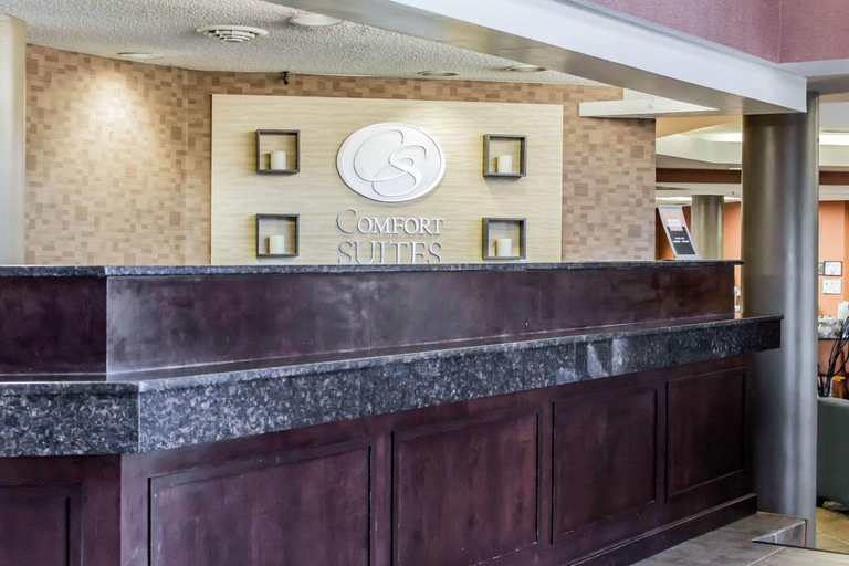 Public Area 2, Comfort Suites (Durham), Durham