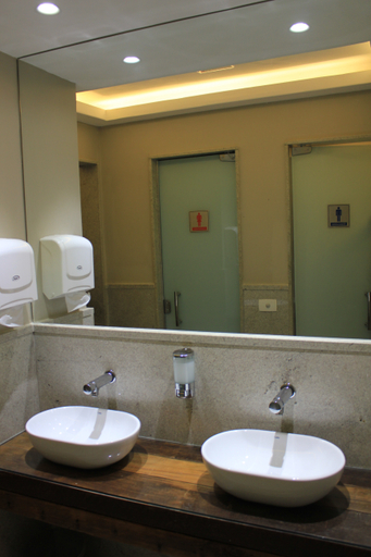 Bathroom 4, Galicia Hotel, Rio de Janeiro
