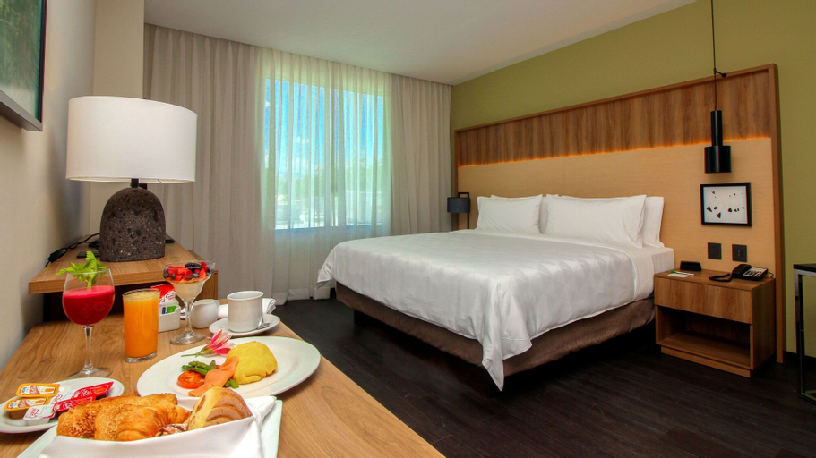 Holiday Inn San Luis Potosi, San Luis Potosí