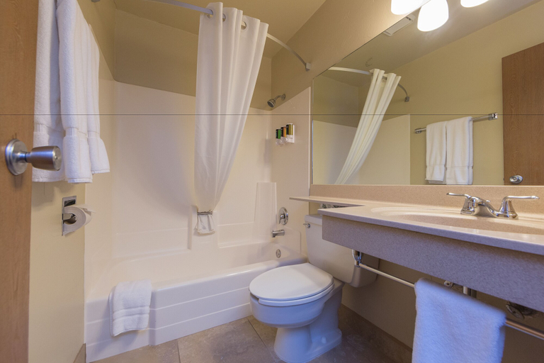 Bathroom 3, Steamboat Hotel, Routt