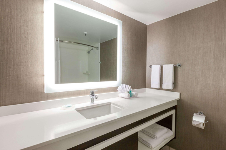 Bathroom 4, Wyndham Houston West Energy Corridor, Houston
