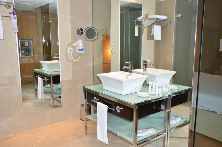 Bathroom 5, Anemon Hotel Malatya, Merkez