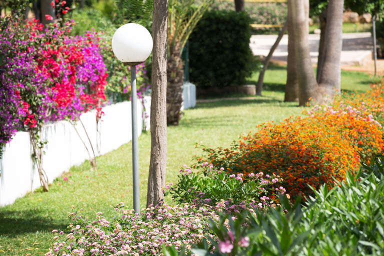 Exterior & Views 2, Gavimar Cala Gran Costa Del Sur, Baleares