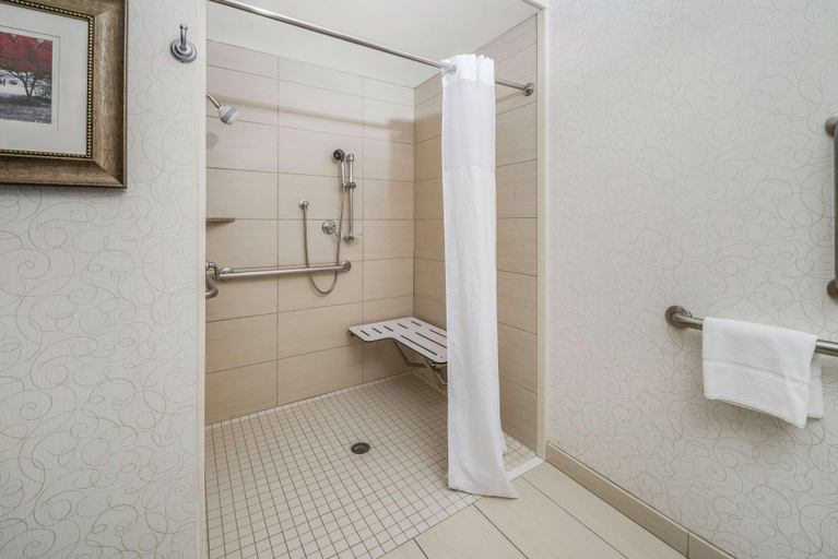 Bathroom 4, Hampton Inn & Suites Tulsa/Catoosa, Rogers