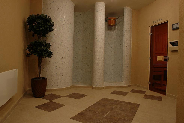 Public Area 5, Winslow Elegance Hotel, Bansko