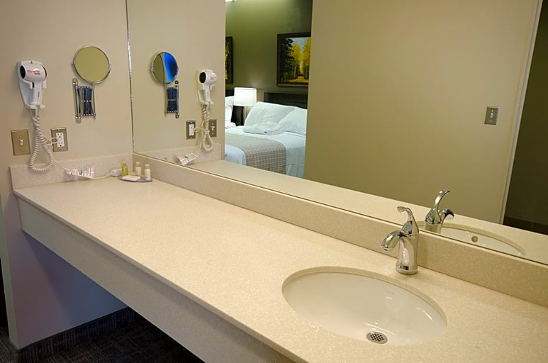 Bathroom 4, Canad Inns Destination Centre Health Sciences Centre, Division No. 11