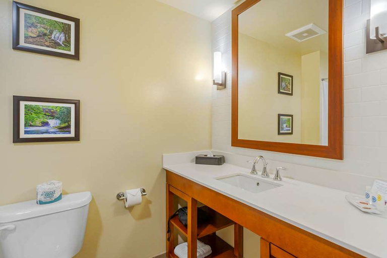 Bathroom 4, Comfort Suites Burlington near I-5, Skagit