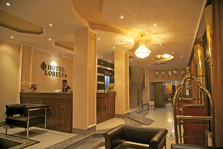 Exterior & Views 2, Hotel Lobelia, Addis Abeba