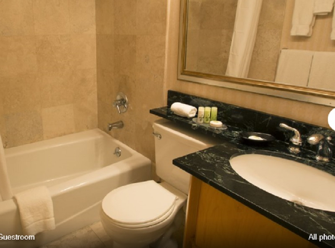 Bathroom 4, Adria Hotel And Conference Center, New York