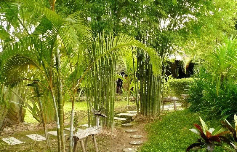 Exterior & Views 1, Gims Resort, Muang Mae Hong Son
