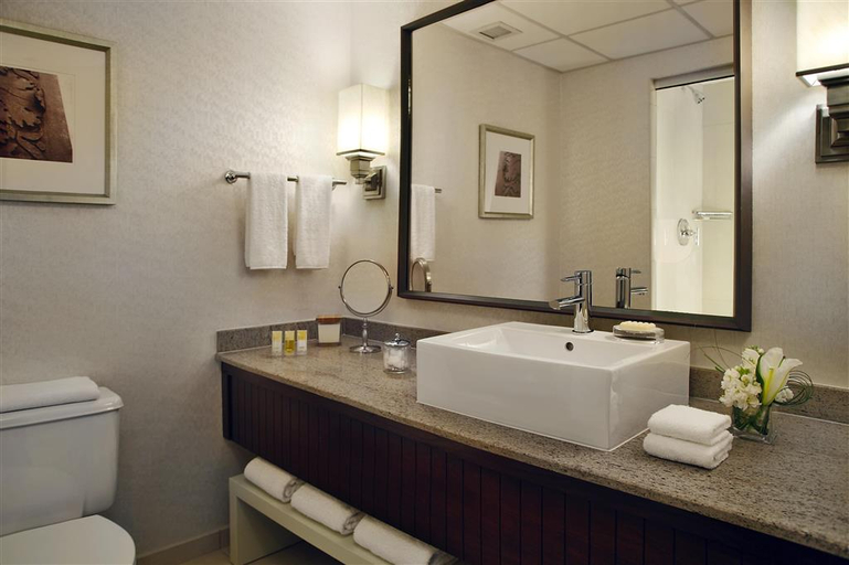 Bathroom, Drury Plaza Hotel at the Arch, Saint Louis