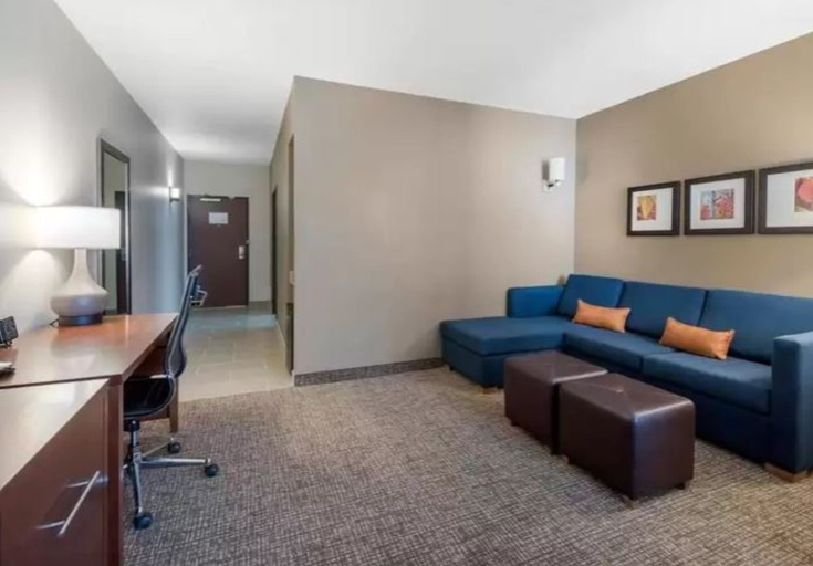 Public Area 2, Comfort Suites Denver International Airport, Denver