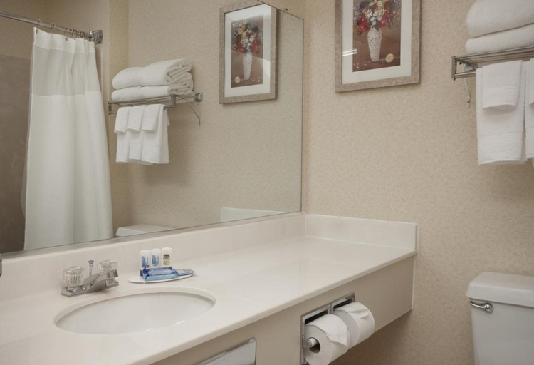 Bathroom 4, Country Inn & Suites Fairview Heights IL, Saint Clair