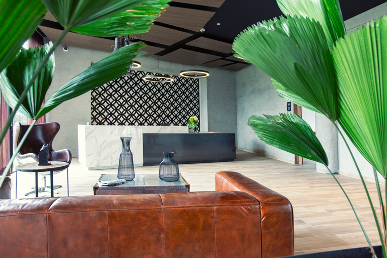 Public Area 4, Hotel Lagoon, Rionegro