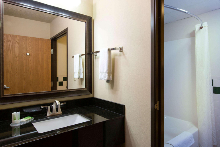 Bathroom, Quality Inn Ladysmith Wi, Rusk