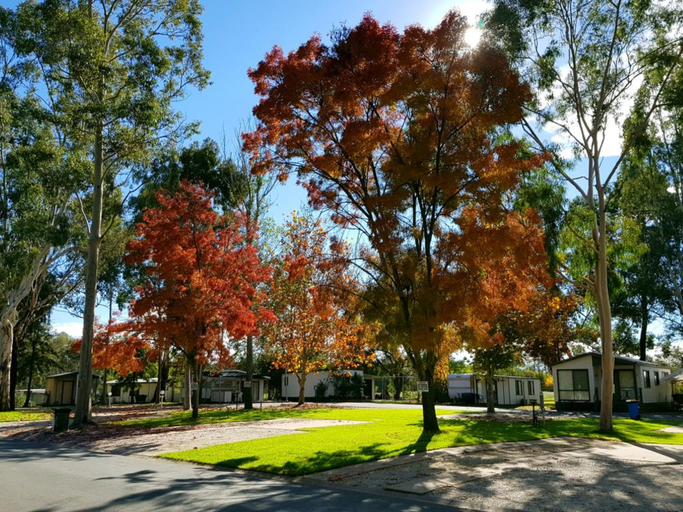 Exterior & Views 2, Discovery Parks - Moama West, Murray