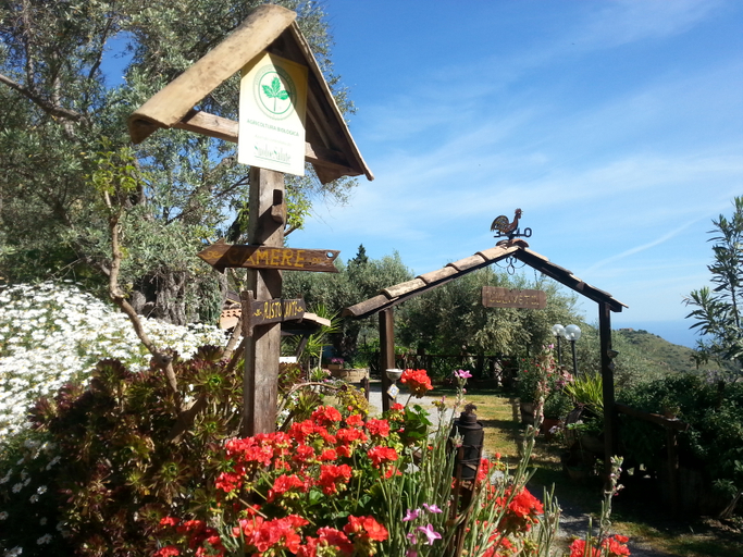Exterior & Views 2, Agriturismo L'Uliveto, Messina