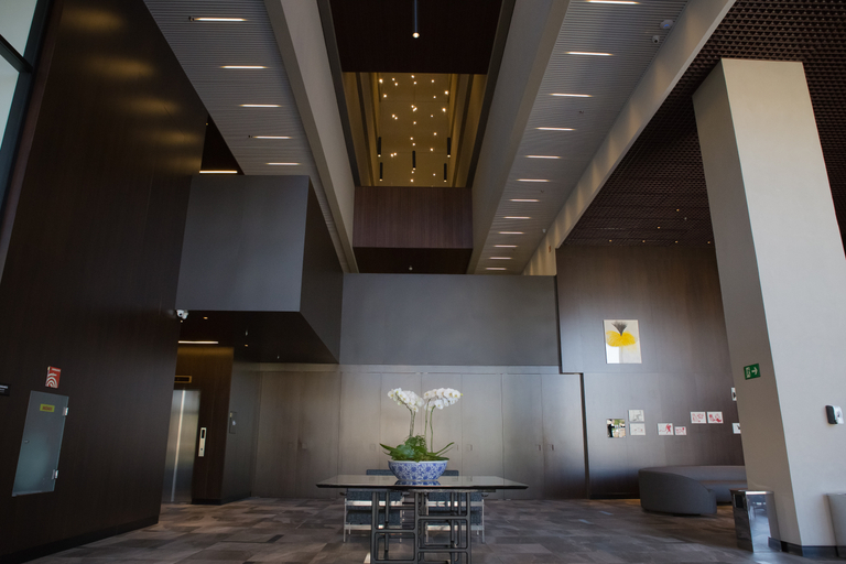 Public Area 2, Wyndham Garden Ribeirao Preto Convention, Ribeirao Preto