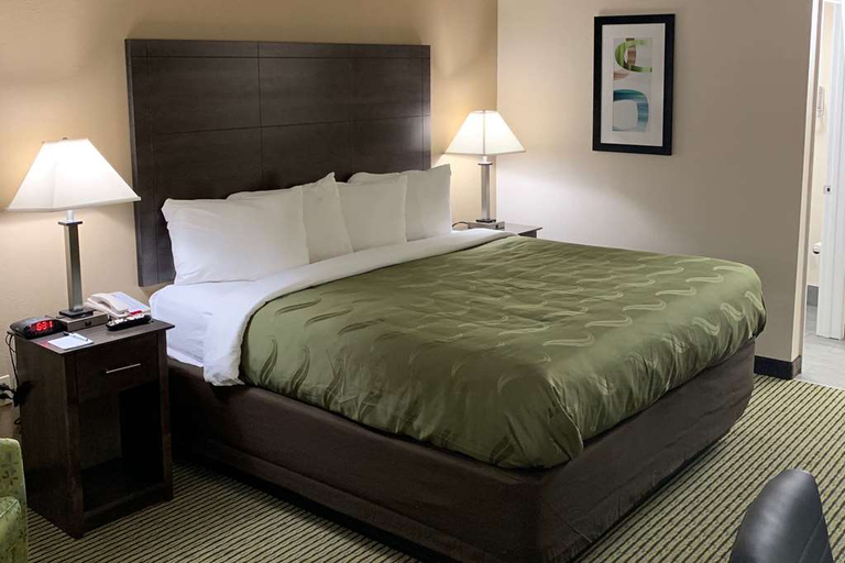 Bedroom 3, Quality Inn McDonough Atlanta South, Henry