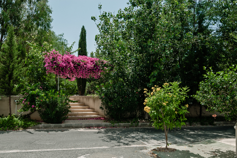 Public Area 3, Artemis Cynthia Complex