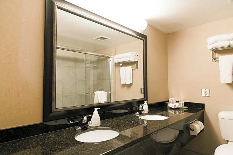 Bathroom 5, Superior Inn Hotel and Conference Centre Thunder Bay, Thunder Bay