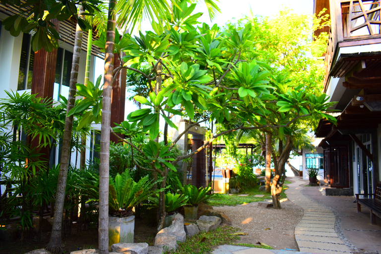 Exterior & Views 2, Sairee Hut Resort, Ko Phangan