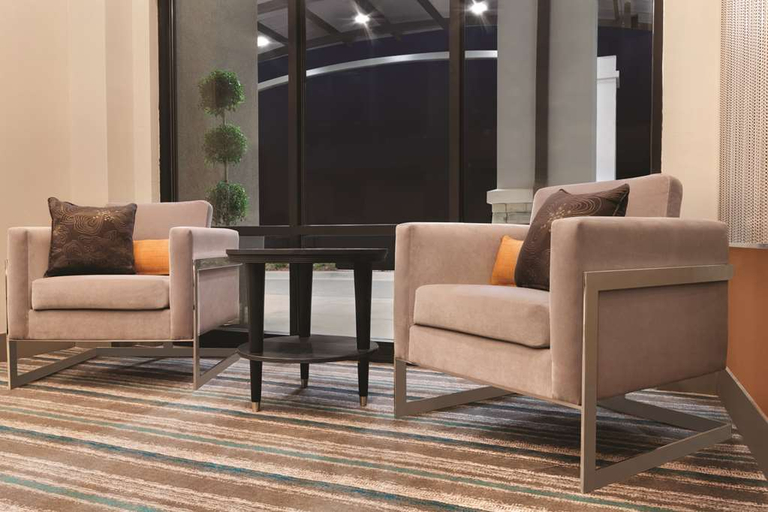Public Area 3, Radisson Hotel Charlotte Airport, Mecklenburg