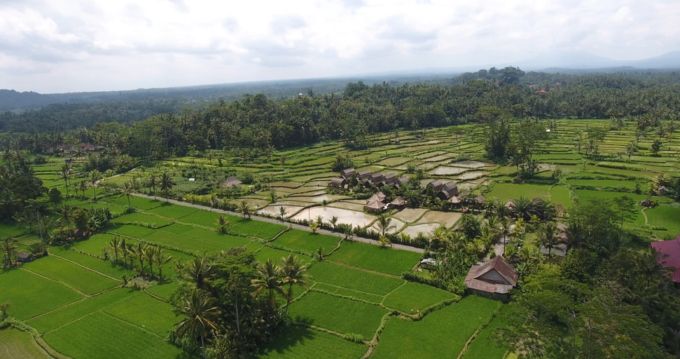 Public Area 3, De Klumpu Bali Eco Tradi Stay, Bangli