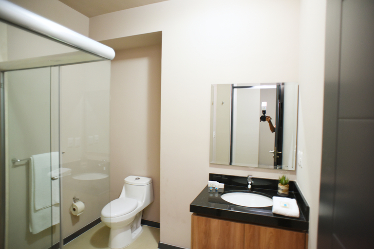 Bathroom, Bahia Marina Departamentos, Mazatlán