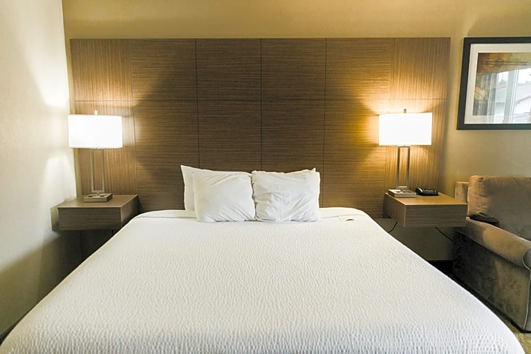 Bedroom 4, Superior Inn Hotel and Conference Centre Thunder Bay, Thunder Bay