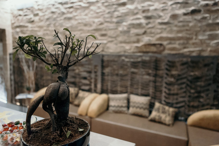 Food & Drinks, Via Aetcal Hotel & Wellness, A Coruña