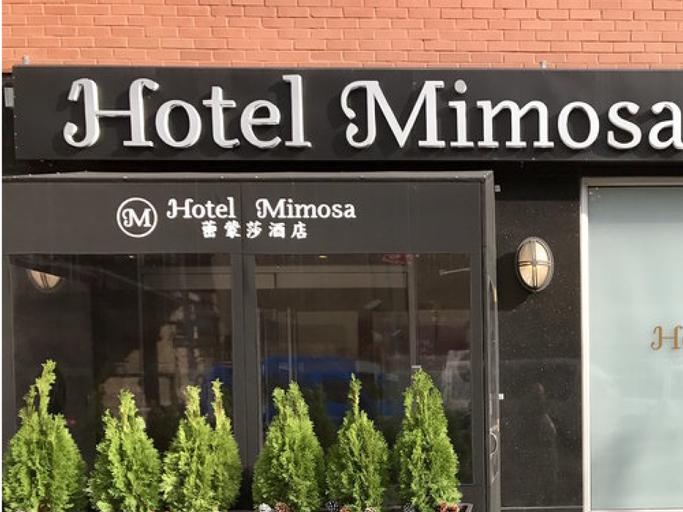 Public Area 3, Hotel Mimosa, New York