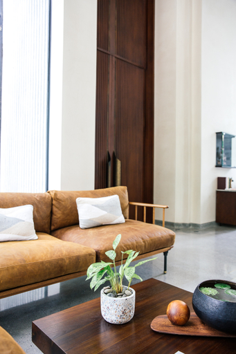 Public Area 4, Treeline Urban Resort, Siem Reap