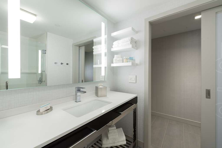 Bathroom 5, Hampton Inn & Suites Bridgewater, Somerset