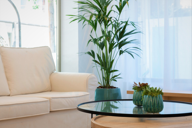 Public Area 5, Hotel Seasun Aniram, Baleares
