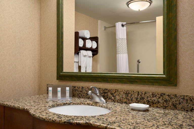 Bathroom 5, Hampton Inn & Suites Williamsburg-Central, York