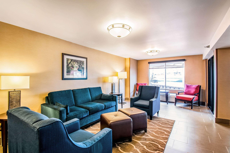 Public Area 3, Comfort Inn Falls Church - Tysons Corner, Fairfax