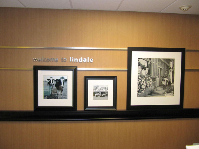 Public Area 2, Hampton Inn Lindale/Tyler, Smith