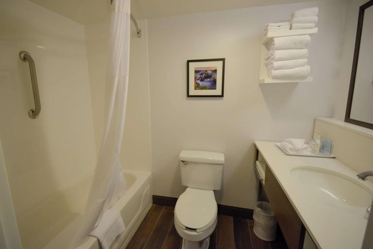 Bathroom 3, Hampton Inn Salem East-Electric Road, Salem