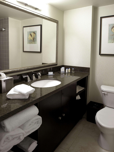 Bathroom 5, DoubleTree by Hilton Charlotte Airport, Mecklenburg