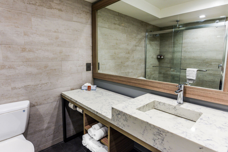 Bathroom 4, Avenue Hotel, Ascend Hotel Collection, Los Angeles
