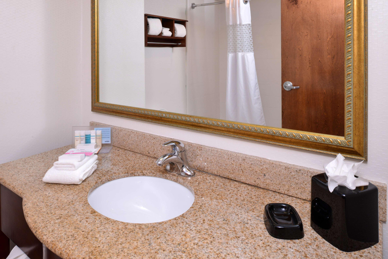 Bathroom 4, Hampton Inn Henderson-I-85, Vance