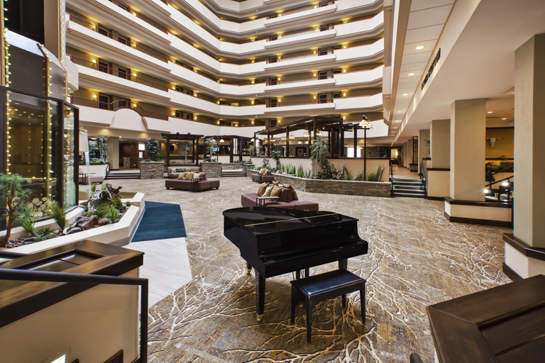 Public Area 4, Doubletree Rapid City Downtown Convention Center, Pennington