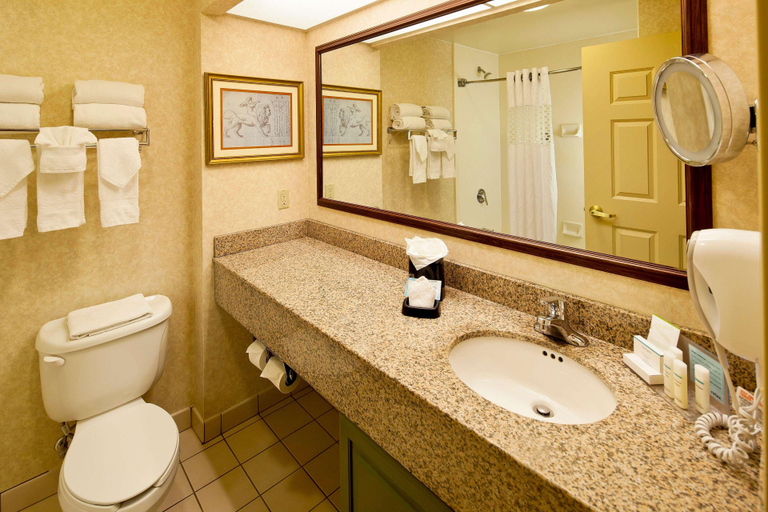 Bathroom 4, Hampton Inn & Suites Nashville-Green Hills, Davidson