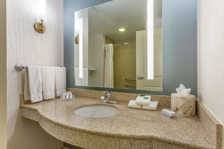 Bathroom 4, Hilton Garden Inn Indianapolis Downtown, Indianapolis