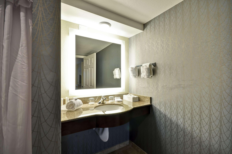 Bathroom 4, Homewood Suites by Hilton Augusta, Richmond