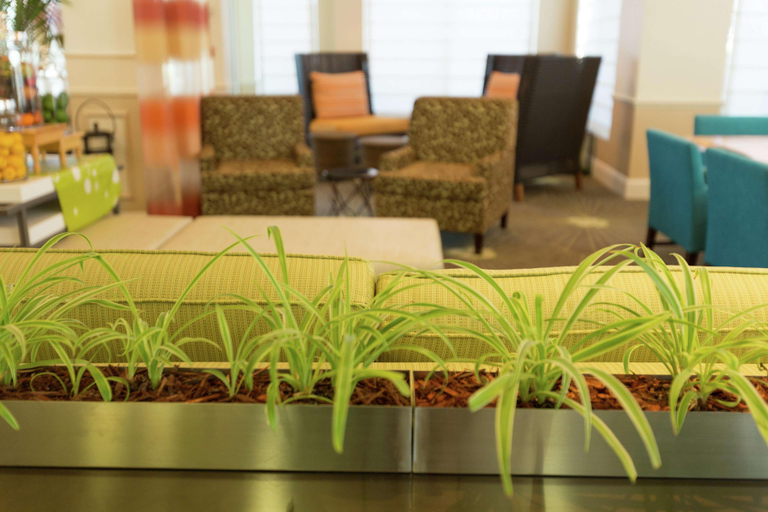 Public Area 2, Hilton Garden Inn St. Augustine Beach, Saint Johns